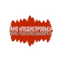 Автономная некоммерческая организация «Центр российско-белорусских общественных инициатив и информационного взаимодействия 